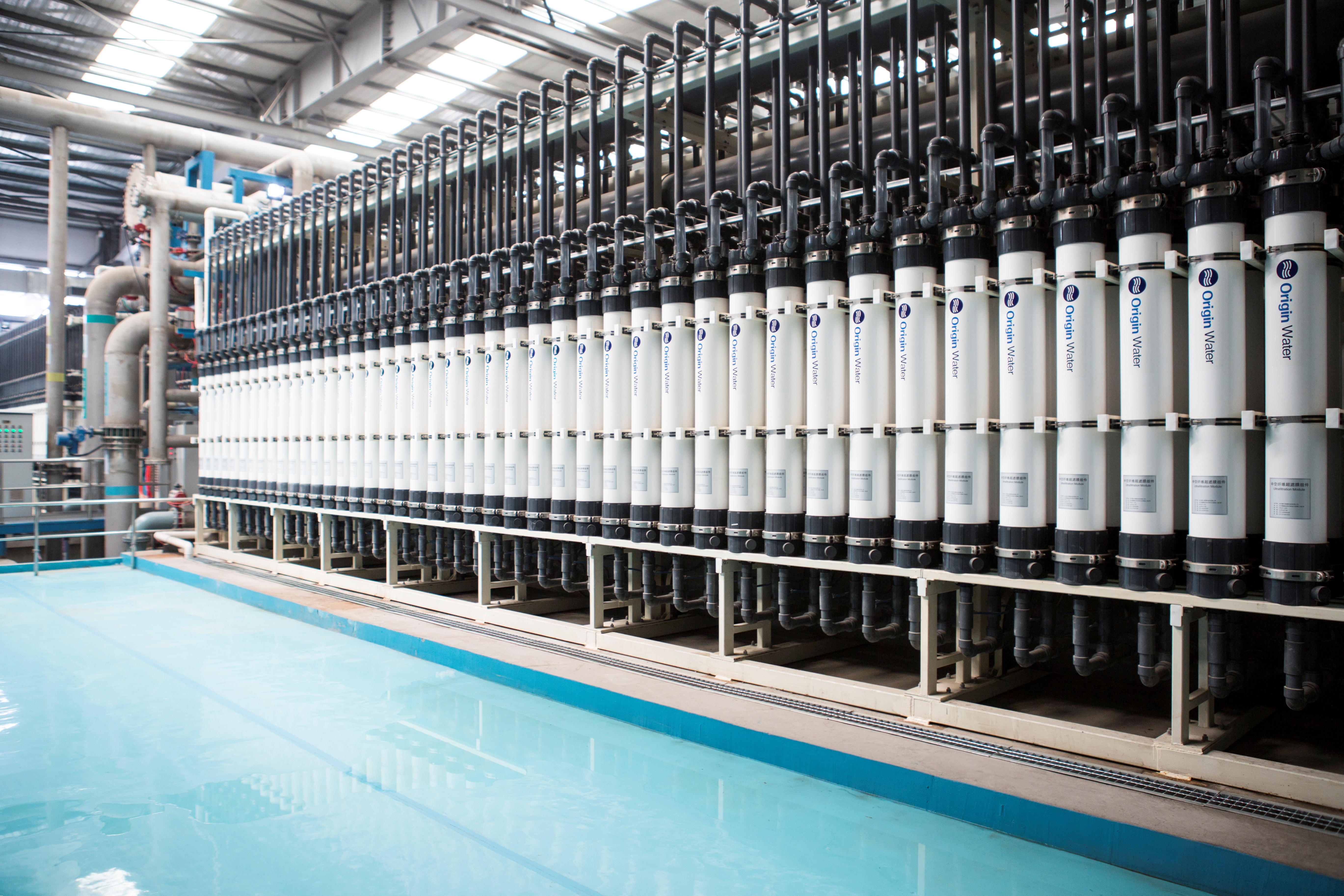 乐鱼市场经营加快高质量发展步伐